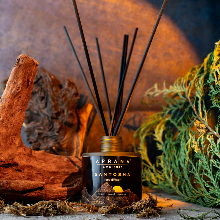 Santosha Reed Diffuser