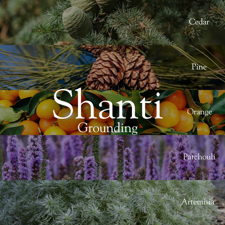 Shanti - Reed Diffuser