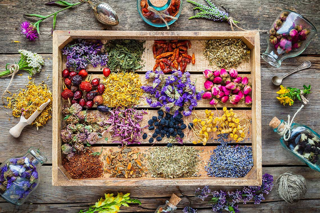 Essential Oils: A Beginner’s Guide