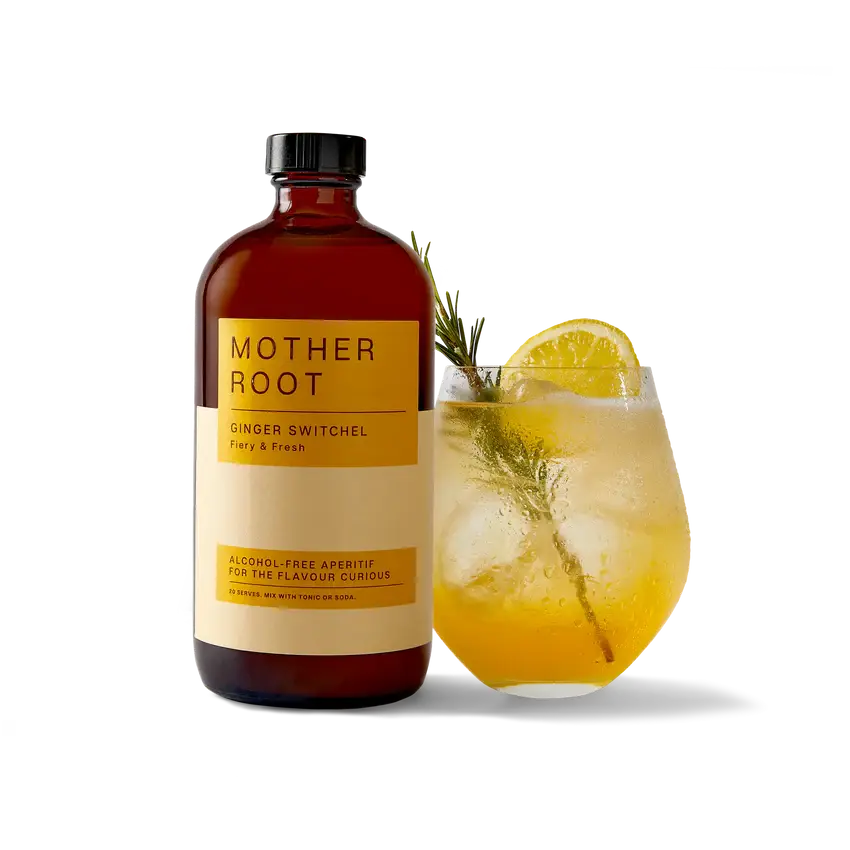Ginger Switchel