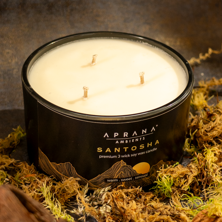 Santosha 3 Wick Soy Wax Candle