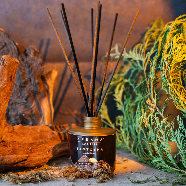 Santosha Reed Diffuser