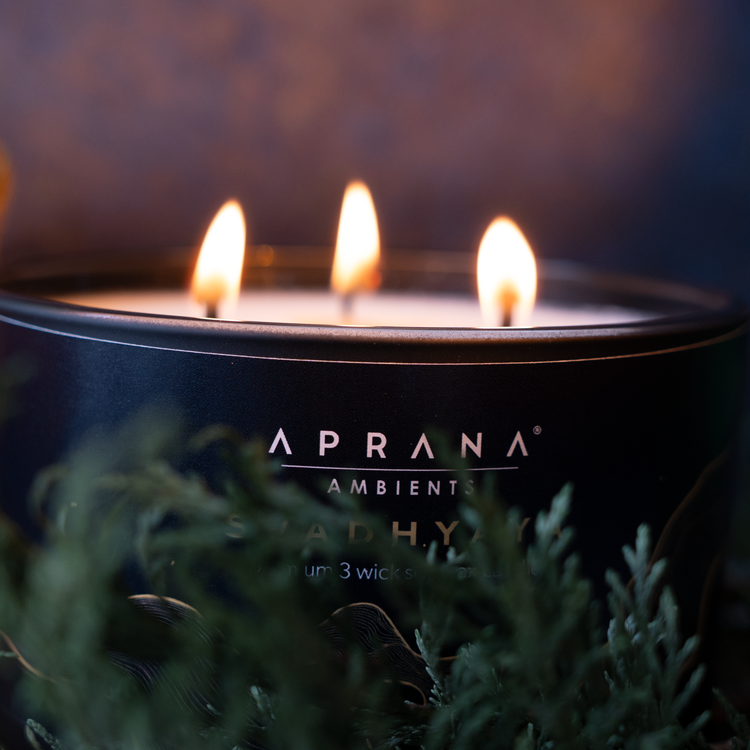 Svadhyaya 3 Wick Soy Wax Candle