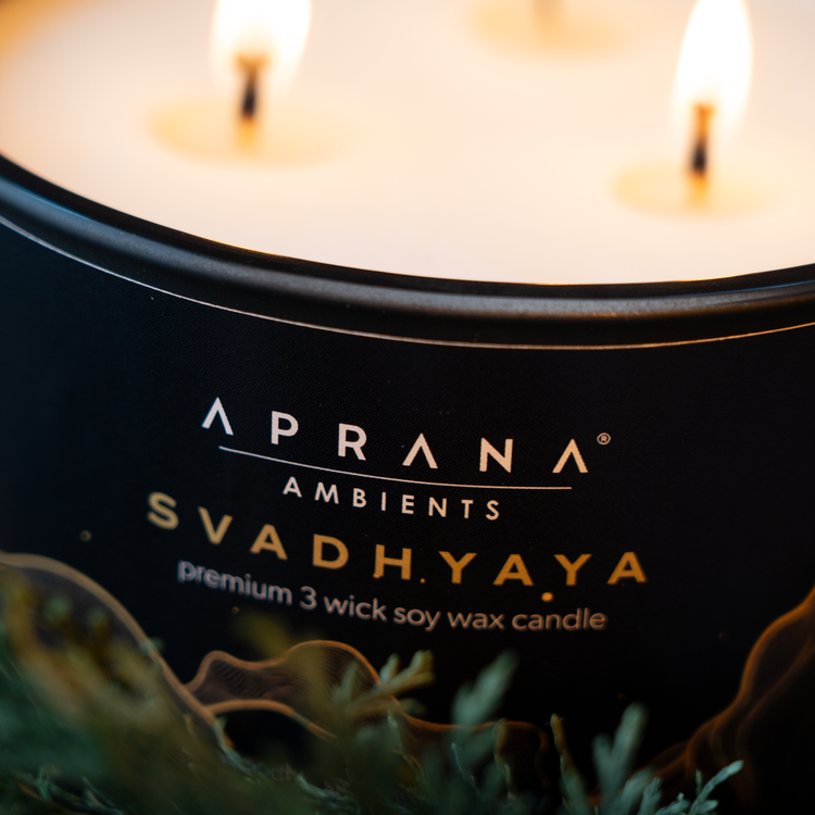 Svadhyaya 3 Wick Soy Wax Candle