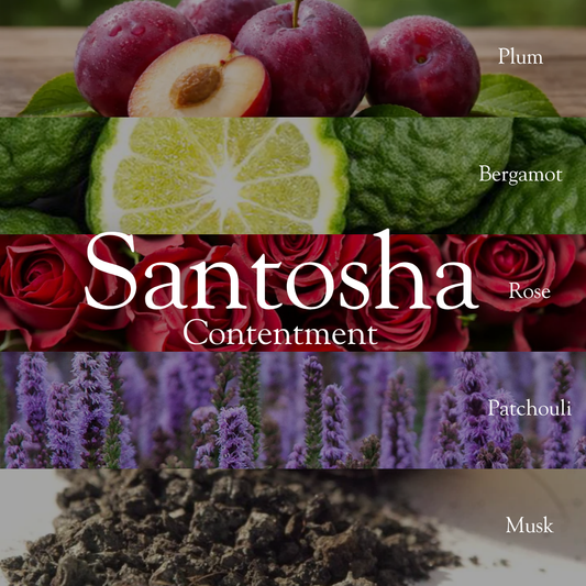 Santosha Reed Diffuser