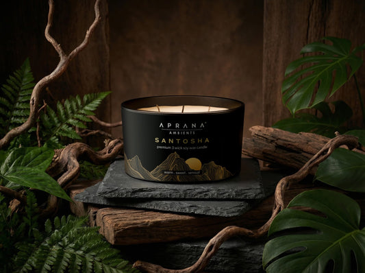 Santosha 3 wick candle