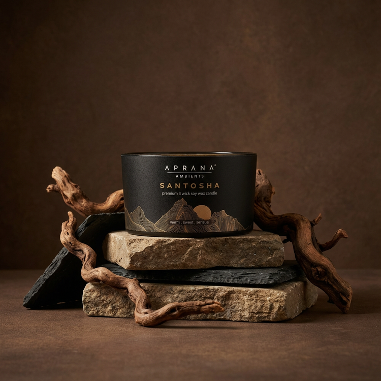 Santosha 3 wick candle
