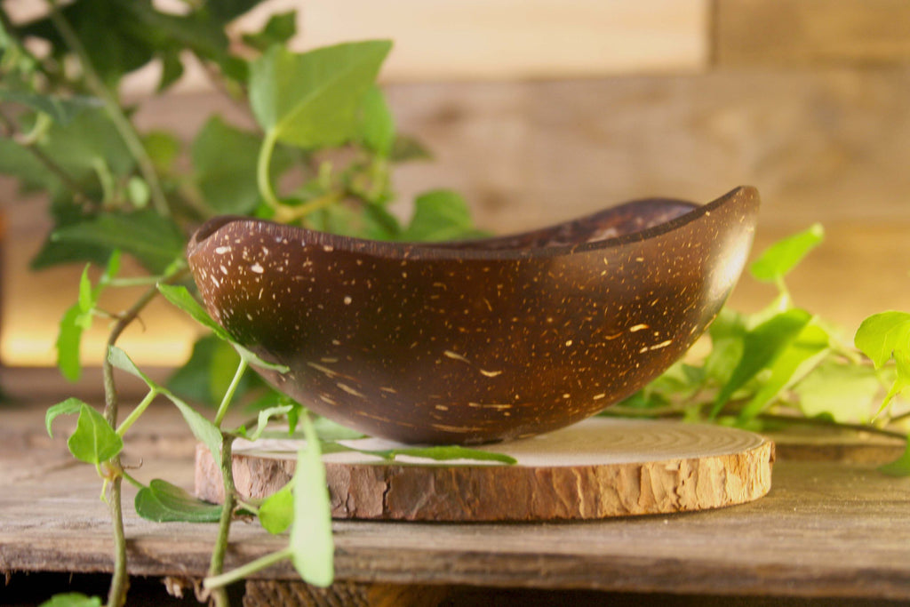 Coconut Shell Soap Dish